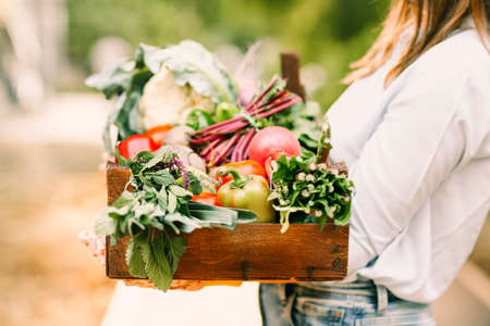 Unrecognizable woman in gloves demonstrating wooden crate with various vegetables while working on farmの写真素材