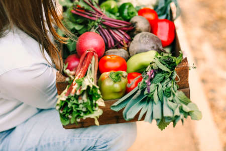 Unrecognizable woman in gloves demonstrating wooden crate with various vegetables while working on farmの写真素材