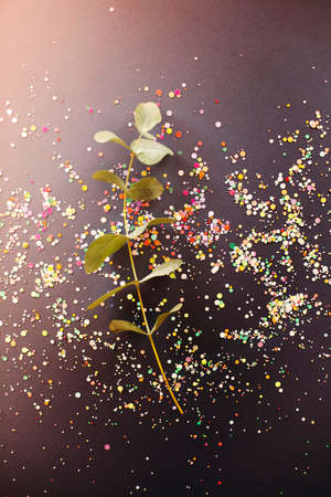 Top view of multicolored confetti scattered on black background with twigs of green plantsの写真素材