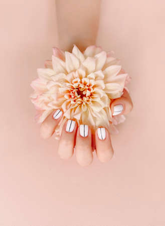 Top view of crop unrecognizable female with blooming flower demonstrating stylish neat manicure on pink backgroundの写真素材