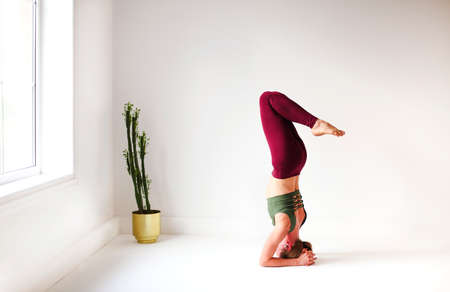 Full body of focused slim female female performing handstand near wall while practicing yoga in...