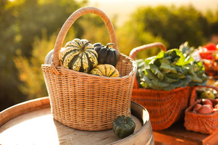 Baskets with various ripe vegetables placed on stall on sunny summer day in rural market