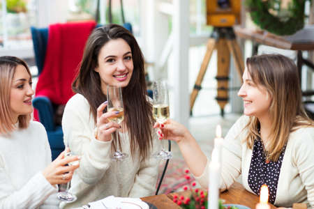 Female friends clinking glasses of wine while having fun during luxury party togetherの写真素材