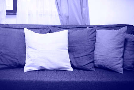 Living room interior with sofa and pillows on it. Cozy toned background