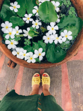 Flower garden decor in traditional Chinese style. Scenery photo from height of human growth of...