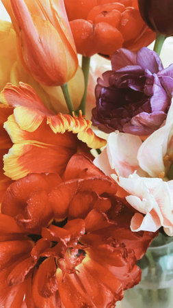 spring mood. Close up shot of tender flower bouquet of multicolored fresh bloomed tulips, floral...