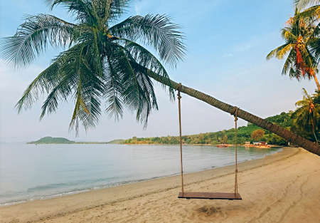 Swing hanging from coconut palm tree over calm sea on empty tropical paradise sandy beach. vacation and travel conceptの写真素材