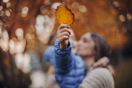 Young happy family, mother and little son child walking in autumn forest, kid holding yellow tree...
