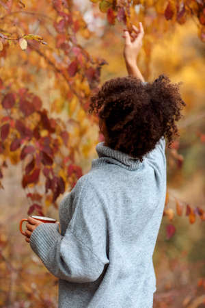 Back view of young woman in warm sweater with curly hair touching leaf on tree in autumn garden or...
