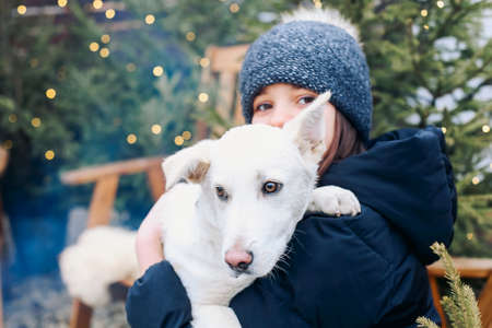 Smiling teenage girl in warm clothes holding cute white puppy in arms while sitting in backyard surraunded with coniferous trees, hugging dog and enjoying winter weather in company of best pet friendの写真素材