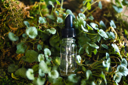 Cosmetics, skincare, beauty, body treatment concept. Cosmetic jar, tube, bottle on green moss background. top view. Mock up. Vegan eco friendly. biophilic design. Essential oil drops pipetteの写真素材