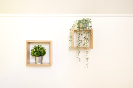 Decorative composition with green plants in white wooden frame hanging on white wall with copy spaceの写真素材