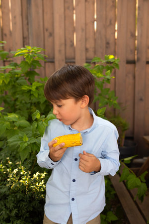 Kid eating corn. Cute little boy eating corn on the cob in the garden. Farming and autumn crop conceptの写真素材