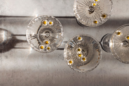 Four glasses with champagne on a light table surface reflecting soft sunshine rayson. Sparkling wine...