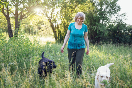 Elderly grayhaired woman with her dogs in the park. Portrait of a smiling senior female sitting outside with her golden and black labradors on grass. Happy old woman hugging her pet.の写真素材