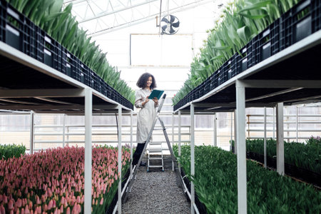 Young cute african girl is using digital tablet to work with tulips in greenhouse. Darkskinned female farmer stands on stepladder among grown flowers. Modern technology in gardening business.の写真素材