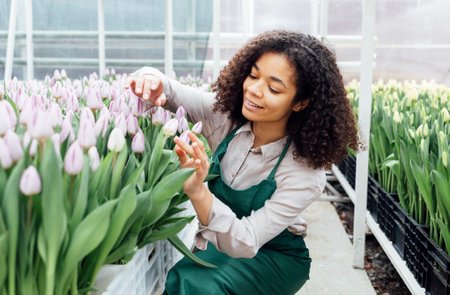 Attractive young african woman in light color apron touches pink tulips growing in boxes at flower farm. Smiling female darkskinned greenhouse worker checks condition of seedlings. gardening.の写真素材