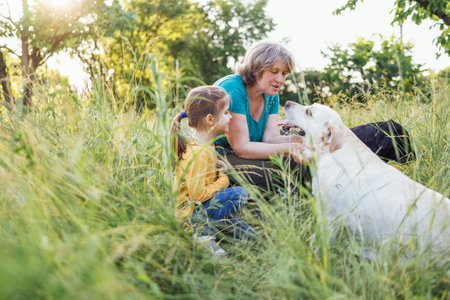 Gray-haired grandmother and cute little granddaughter are walking their dogs together in the park. Elderly beautiful woman strokes golden labrador and blows kiss. green grass and trees on background.の写真素材