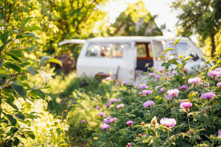 Summer travel by minivan. Purple cornflowers and leaves in the foreground. Defocus background with bokeh. Blurred nature backdrop.の写真素材
