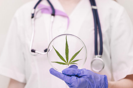 A medic professional with a stethoscope in a lab coat and blue gloves holds round laboratory glasses with a cannabis leaf. Hemp medicinal properties concept. Copy space.の写真素材