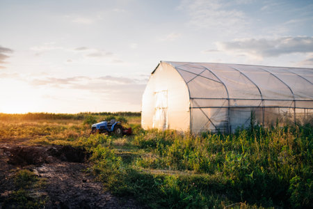An agricultural landscape with a greenhouse used for growing vegetables and greens in the winter and a blue tractor. A green field. The farm at sunset. Seasonal harvesting.の写真素材