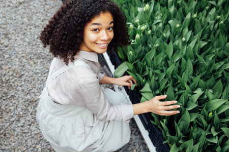 Attractive young African woman in light color apron touches pink tulips growing in boxes at flower farm. Smiling female darkskinned greenhouse worker checks condition of seedlings. Gardening.の写真素材