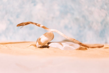A stage for beauty cosmetic products with textured stones and a tree branch. An empty podium for package performing with sand and sunlight. Abstract mockup of rocks. Fashion exhibition of home decor.の写真素材