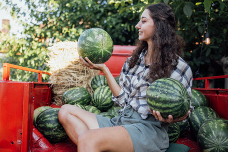 Charming smiling woman in casual clothes tosses watermelon outdoors. Curly-haired young farmer collects fresh delicious berries and fruits. Harvesting. Red truck with watermelons and hay in backgroundの写真素材