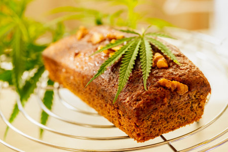 Freshly tasty baked bread with the addition of cannabis, decorated with hemp leaves and walnuts. Close-up of a delicious textured pie with nuts and herbs. A modern culinary trend.の写真素材