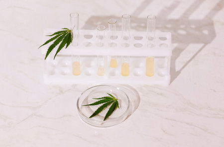 Laboratory test tubes with yellow liquid and a round glass medical container with a cannabis leaf on a beige background. Laboratory instruments with hemp leaves on a marble table. Copy space.の写真素材