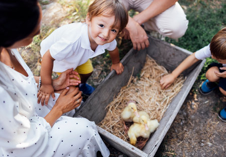 Happy young family looking at little ducklings in wooden box. Parents and two cheerful kids spend time on farm. Cute toddler boy in casual clothes smiles and rejoices. View from above. Rural style.の写真素材