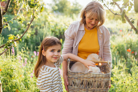 Smiling mature woman shows her granddaughter cute puppies in wicker basket. Little girl petting Labradors in the garden. Grandmother and child take care of pets. Summer vacation and holidays in country.の写真素材