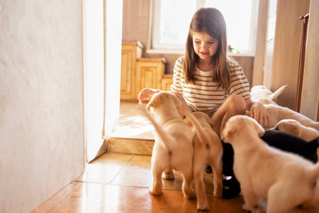 A little girl is sitting on the steps in a room and petting the labrador puppies. A cute child is having fun with dogs at home. A smiling kid takes care of petsの写真素材