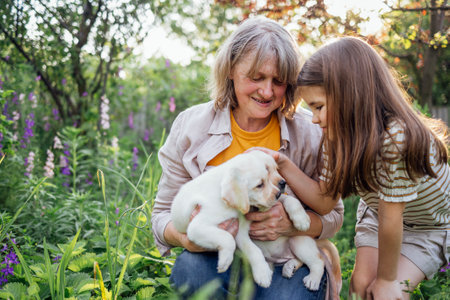 Little girl and her grandmother are looking at cute puppies among flowers and grass. Mature woman with granddaughter take care of pets. Laughing pensioner and cute child with dogs garden.の写真素材