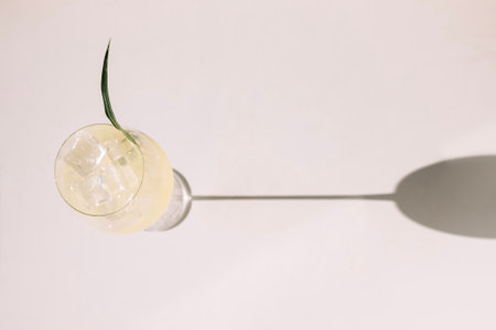 An elegant glass with sparkling spritz and a green leaf on a white background. Refreshing cocktail...