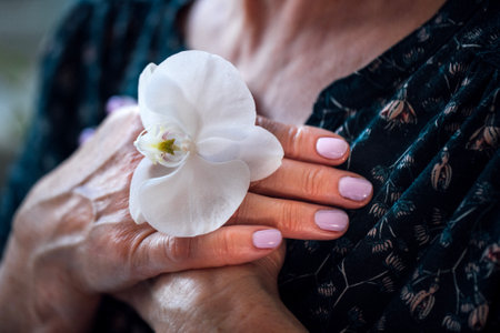 A close-up of a mature woman folded her well-groomed arms on her chest. An elderly lady holds an orchid. A white flower and old female hands. Copy spaceの写真素材