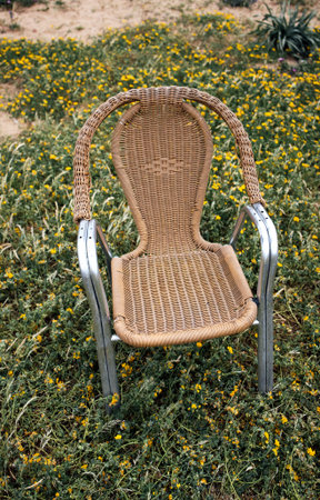 Woven chair with a metal frame is situated among vibrant wildflowers, highlighting the contrast of...