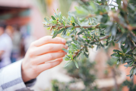 Hand is reaching out to touch green leaves on a bush in an outdoor environment with blurred...