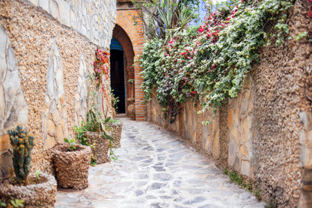 Cobblestone pathway surrounded by lush plants and decorative pots, leading to an entrance, creating...