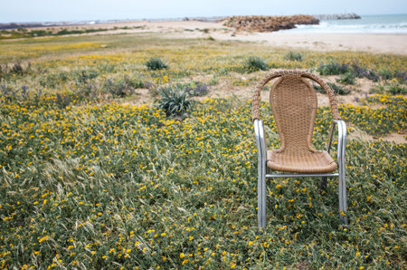 Woven chair with a metal frame sits in a field of wildflowers by the beach, with ocean waves and a rocky shore in the backgroundの写真素材