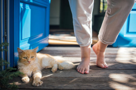 Ginger cat rests on wooden porch as a barefoot woman steps outside near a blue door, surrounded by greenery in a sunny residential areaの写真素材