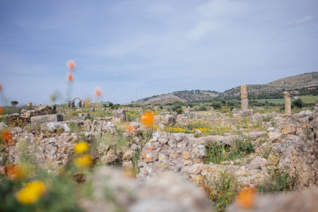 Stone ruins are visible amidst wildflowers and greenery, set against a backdrop of mountains and a clear blue sky in an archaeological site, Volubilis, Moroccoの写真素材