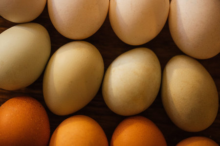 Assorted eggs in shades of brown, white, and green are arranged on a wooden surface, illuminated by...