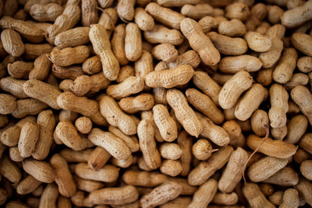 Unprocessed peanuts in shells are displayed on a surface, highlighting their brown color and rough texture, suitable for food-related uses