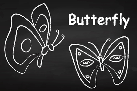 Butterflies. On the chalkboard. Insect. Beautiful. For your design.のイラスト素材