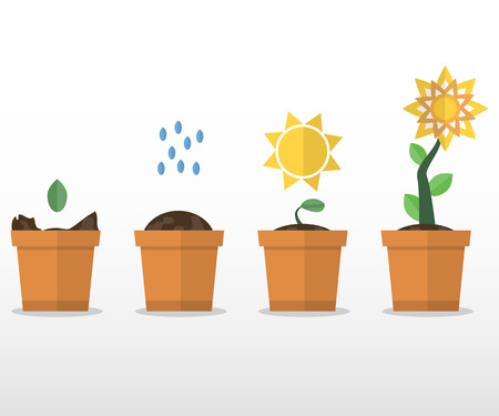 A set of plant growth. Flower. Vector flat illustration. Isolated on white background.のイラスト素材