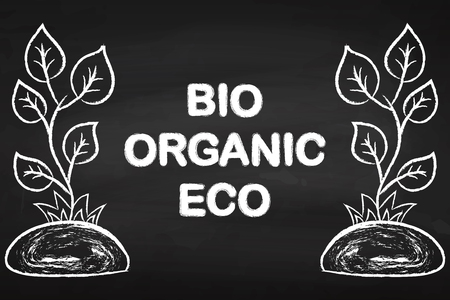 Bio. Organic. Eco. Clean. Nature. Flower. Plant. On the chalkboard.のイラスト素材