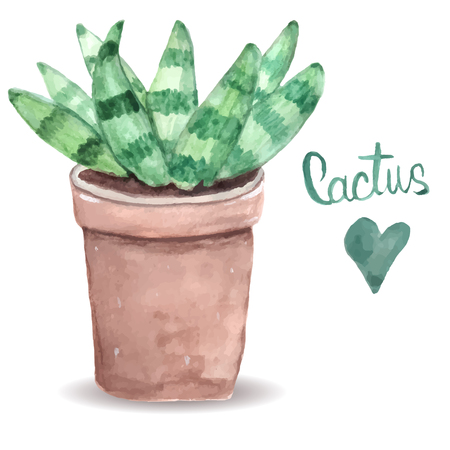 Watercolor cactus. Bright green. Thorny plant. For print on clothes, postcard.のイラスト素材