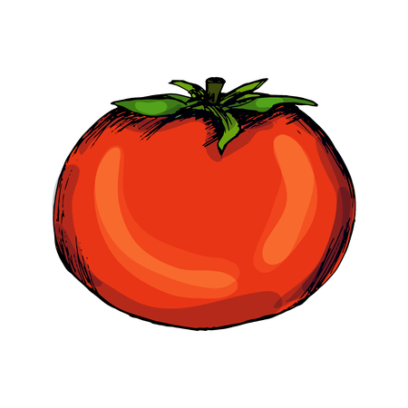 Tomatoes. Pickles. Blanks for the winter. Hand drawing. Print, sticker. Organic.のイラスト素材