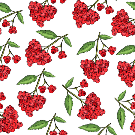 Cowberry. Useful yagoda.  Jam. Delicious. Print, sticker. seamless pattern.のイラスト素材